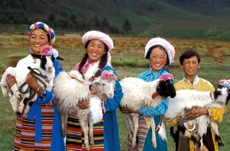 Peking